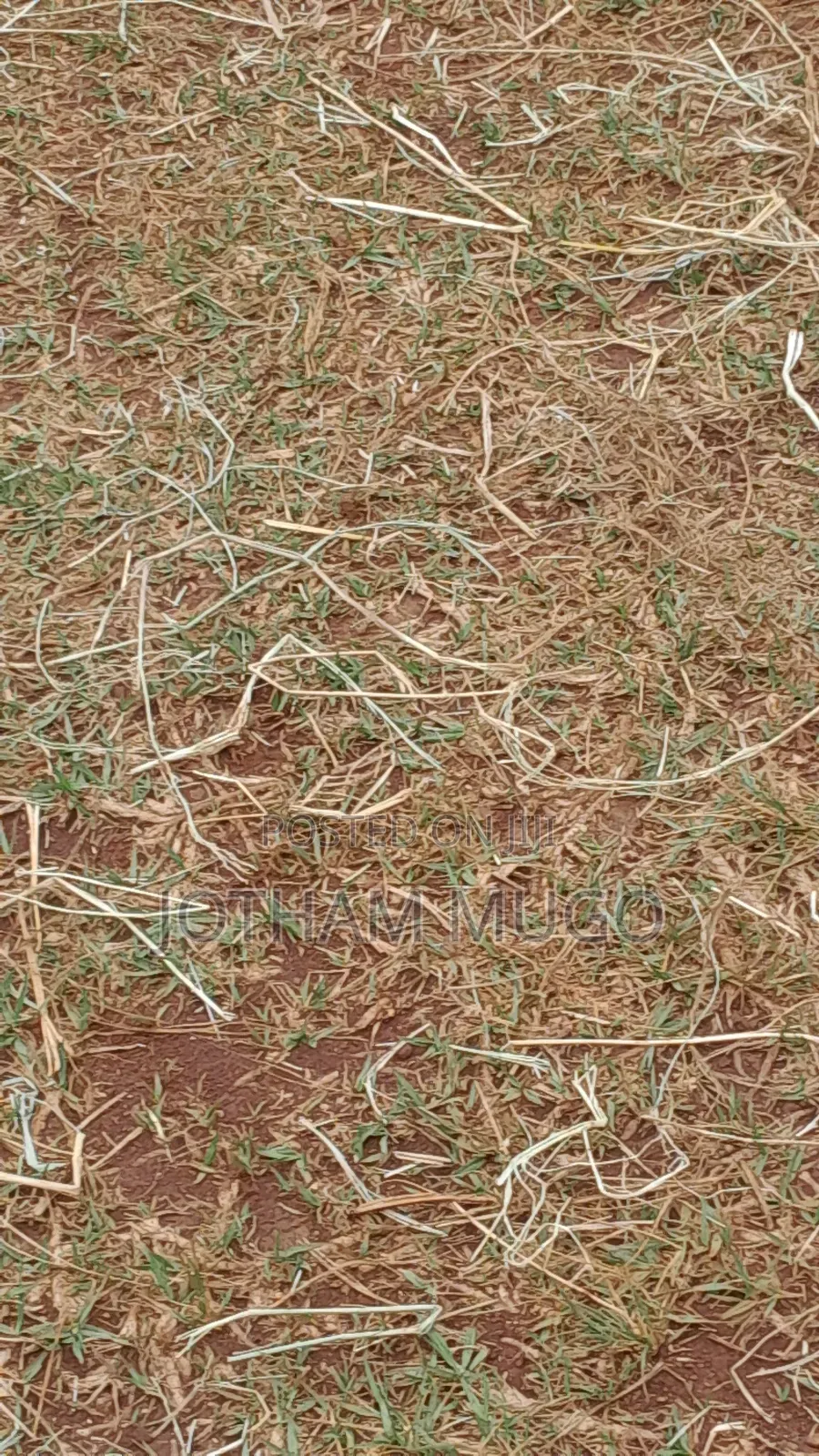 50 By 100 Plot In Limuru, Kwa D.O