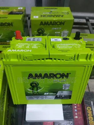 Amaron Ns60l