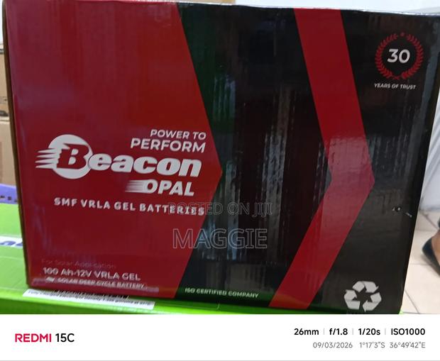 Beacon Power System Gel Batteries - main view