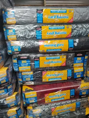 Morning Glory 4×6 Deluxe 8′′ Plain Top Mattress