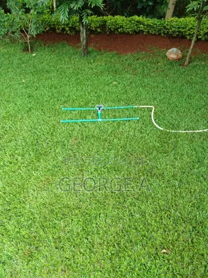 Garden Sprinkler for Sale