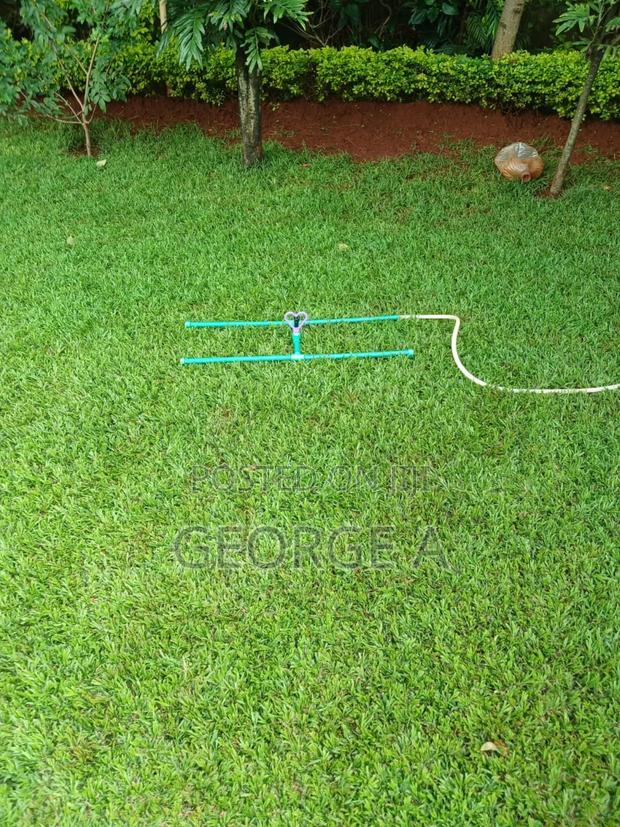 Garden Sprinkler for Sale