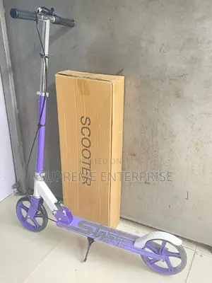 Foldable Metallic Scooter