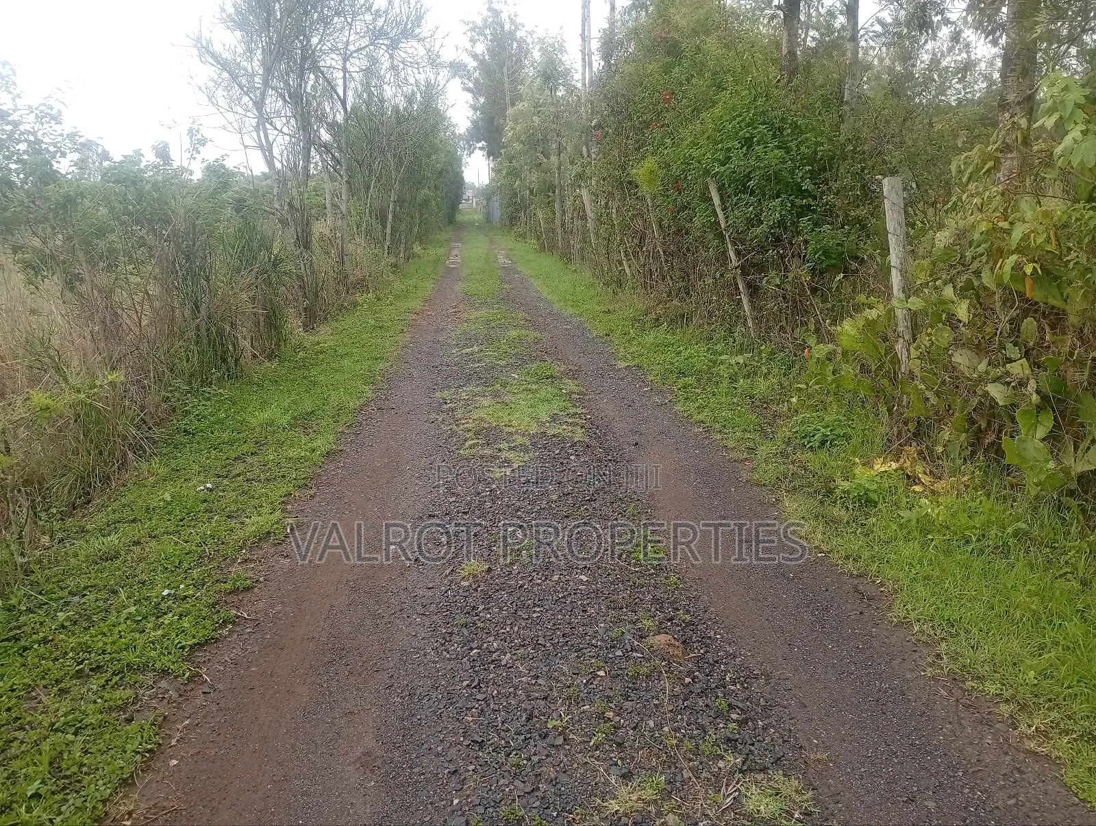 1acre Land for Sale in Matasia,Ngong.