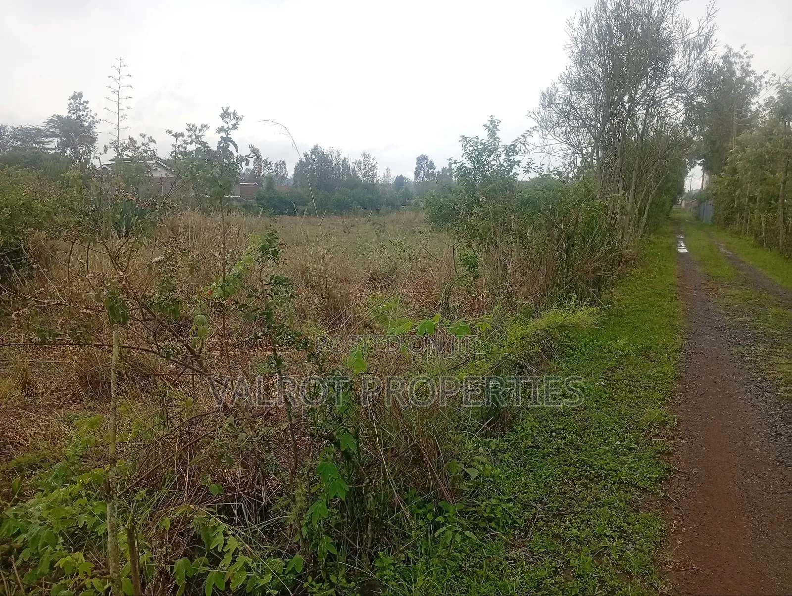 1acre Land for Sale in Matasia,Ngong.
