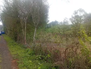 1acre Land for Sale in Matasia,Ngong.