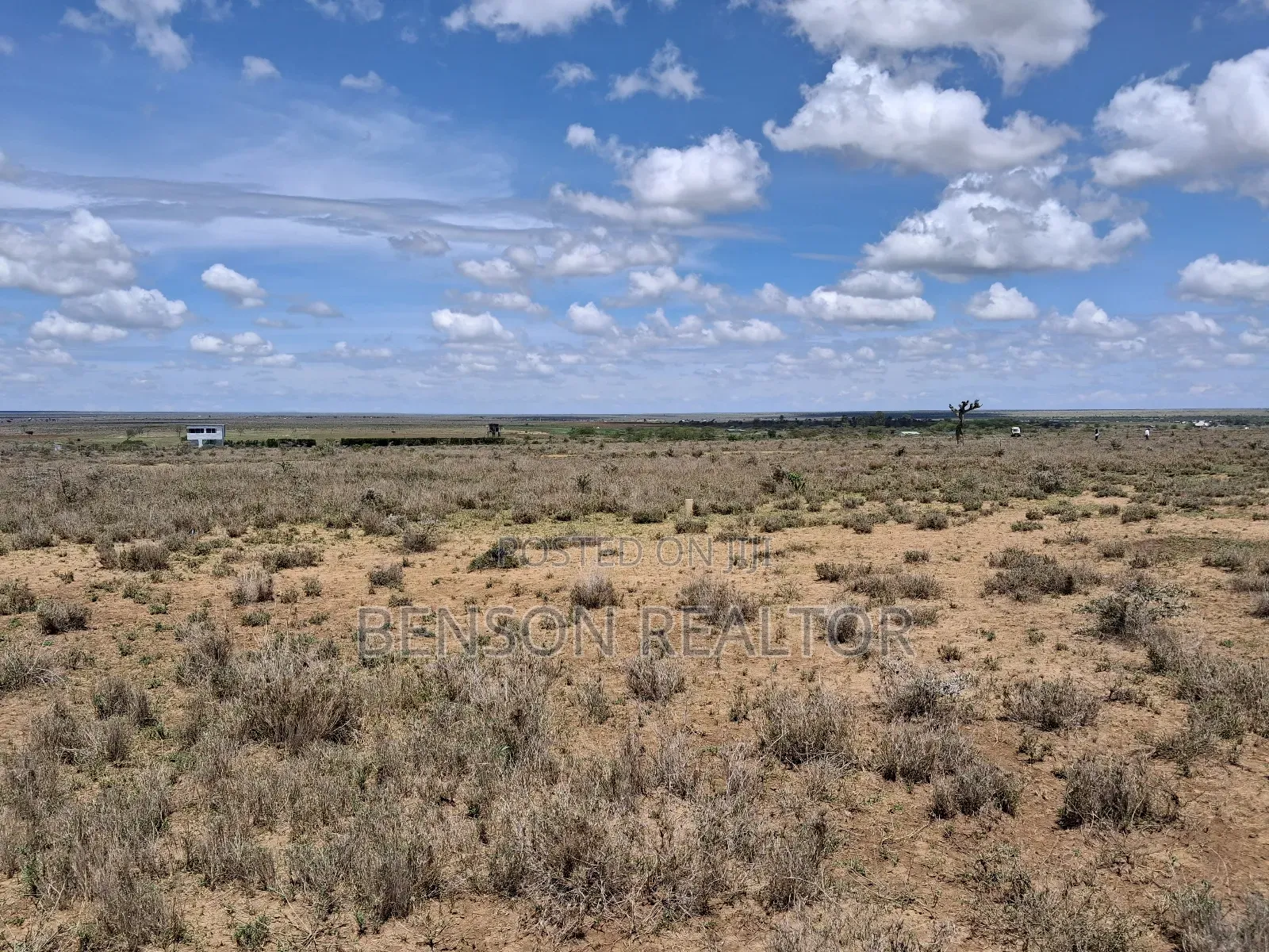 Nanyuki 1/4 Acre Plots