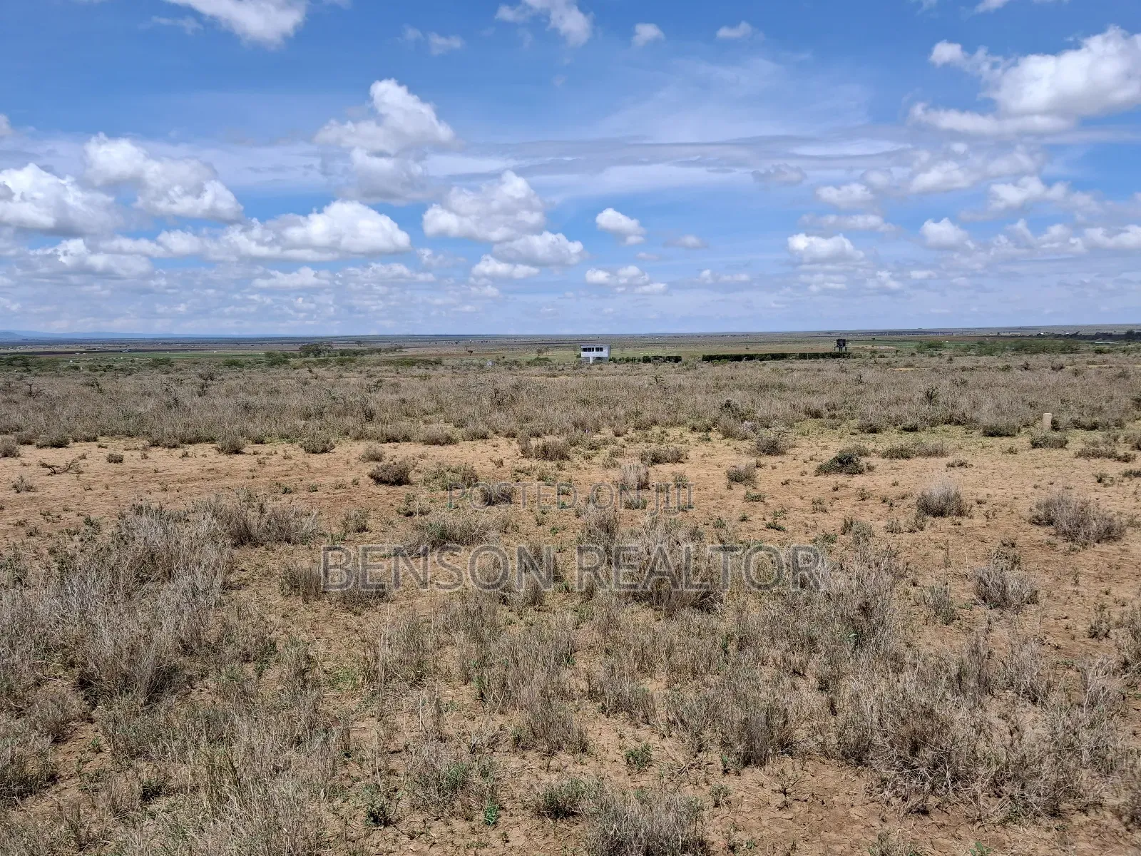 Nanyuki 1/4 Acre Plots