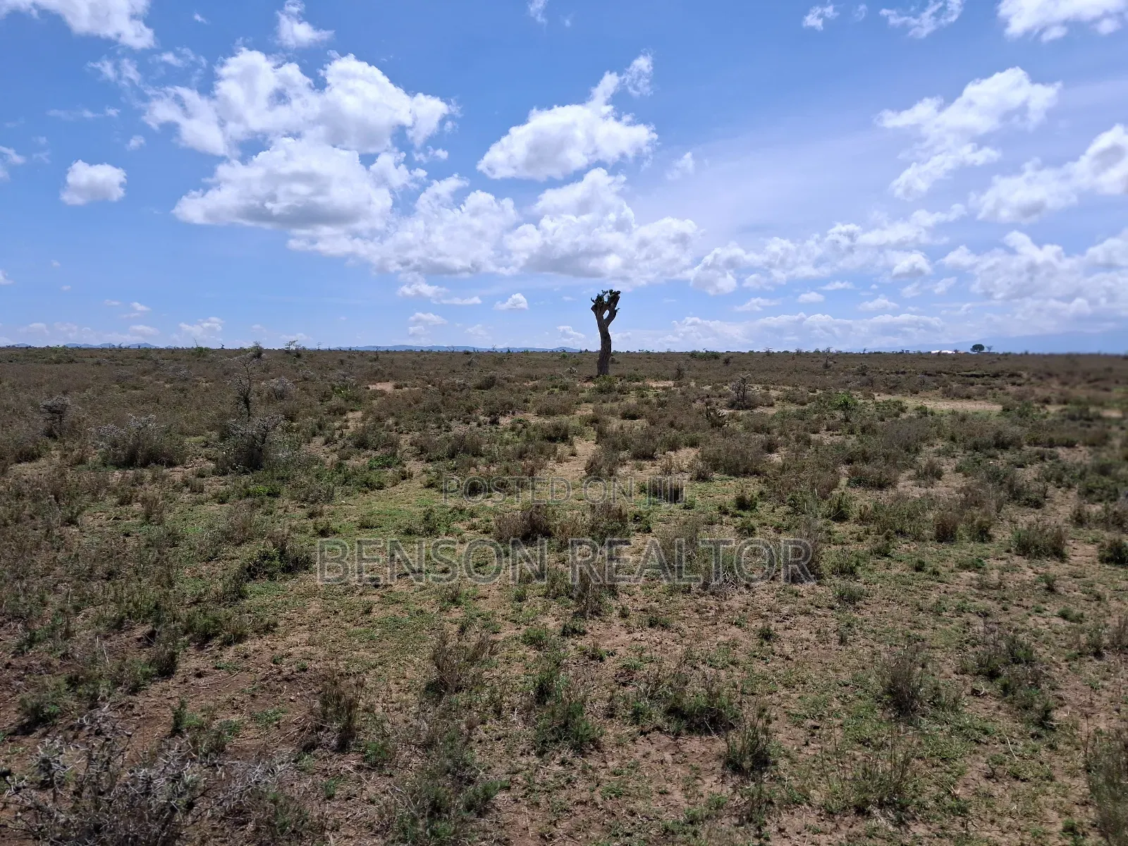 Nanyuki 1/4 Acre Plots