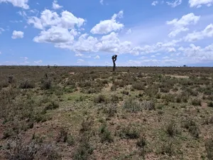 Nanyuki 1/4 Acre Plots