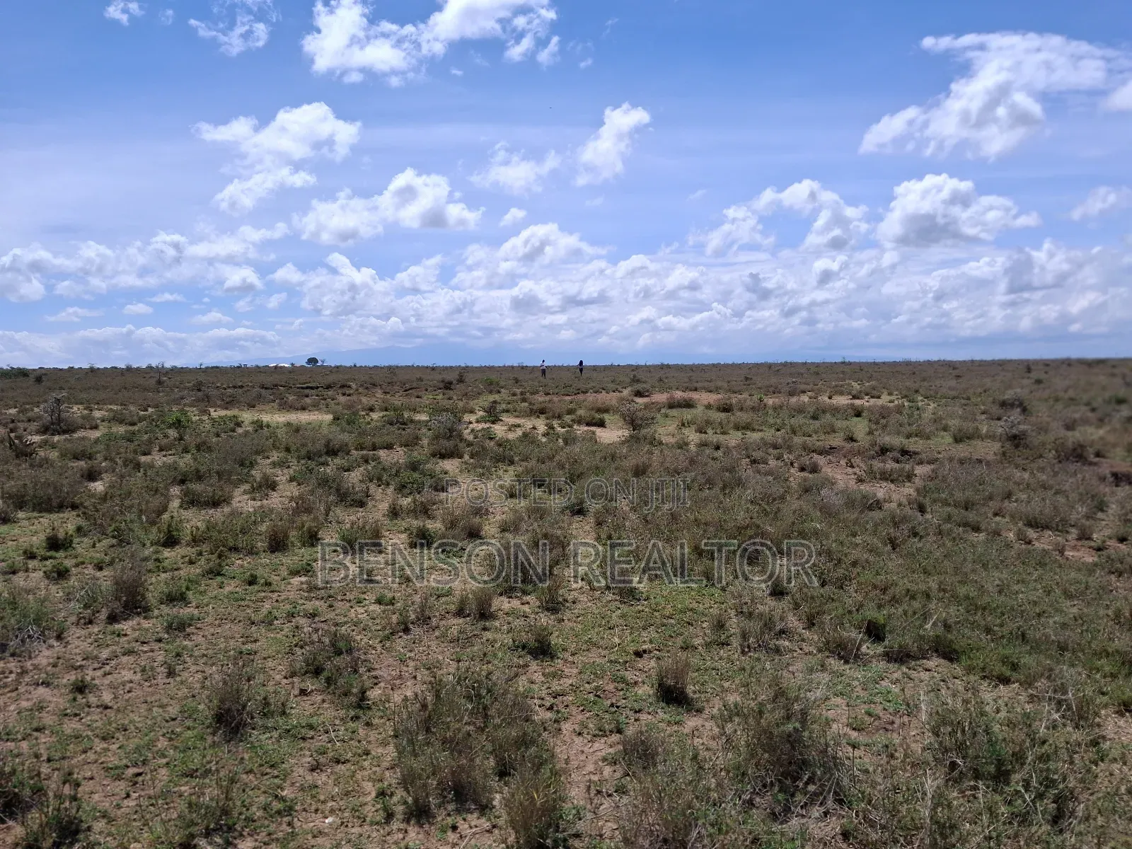 Nanyuki 1/4 Acre Plots