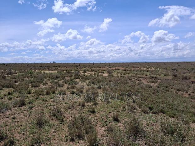 Nanyuki 1/4 Acre Plots - thumbnail 7