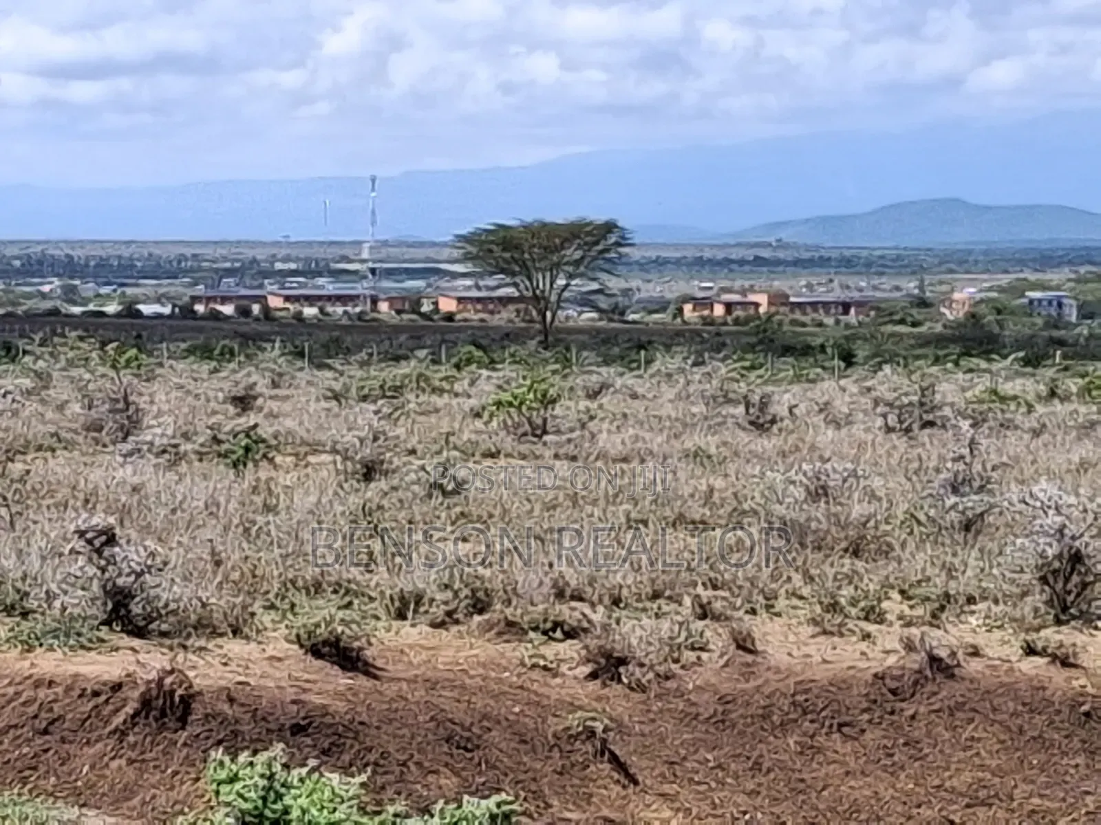 Nanyuki 1/4 Acre Plots
