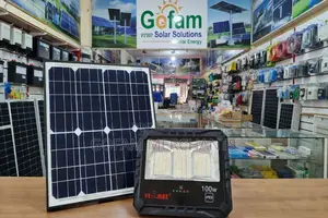 Velmax 100watts Bright Integrated Solar Flood Light