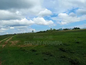 Distress Sale Half Acre Nanyuki Sweetwater