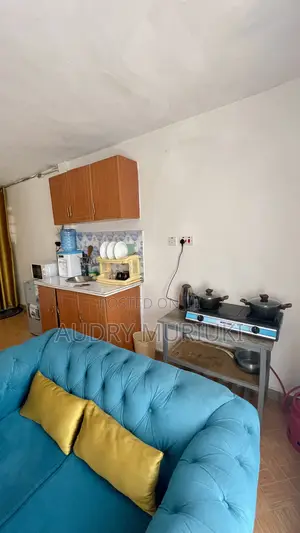 Serenity Studio in Roysambu Kasarani