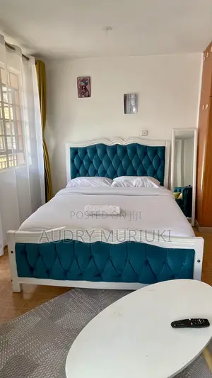 Serenity Studio in Roysambu Kasarani