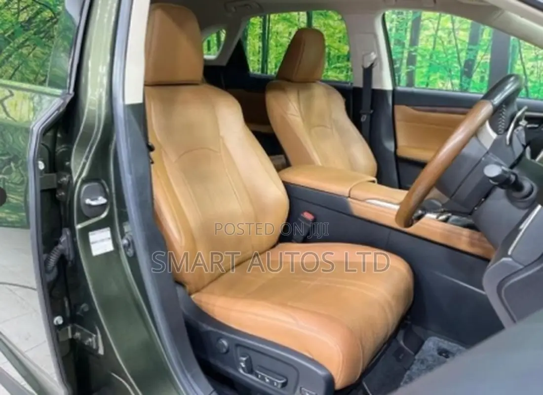 Lexus RX 450h 3.5 Hybrid AWD 2020 Green