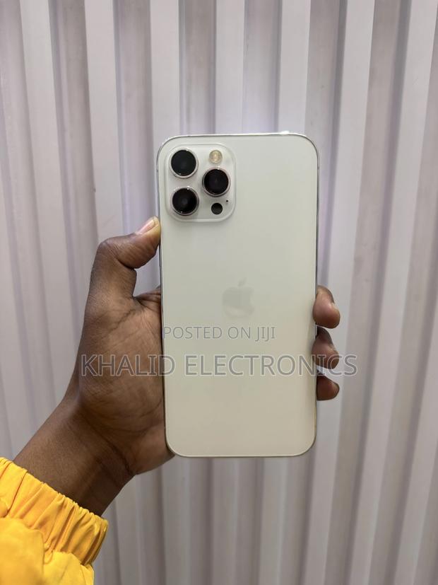 Apple iPhone 12 Pro Max 256 GB Silver