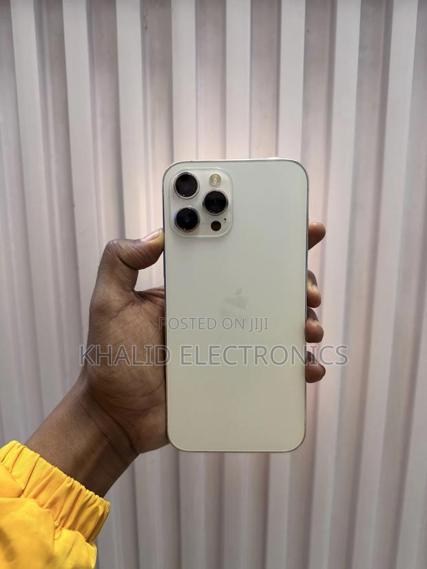 Apple iPhone 12 Pro Max 256 GB Silver - thumbnail 4