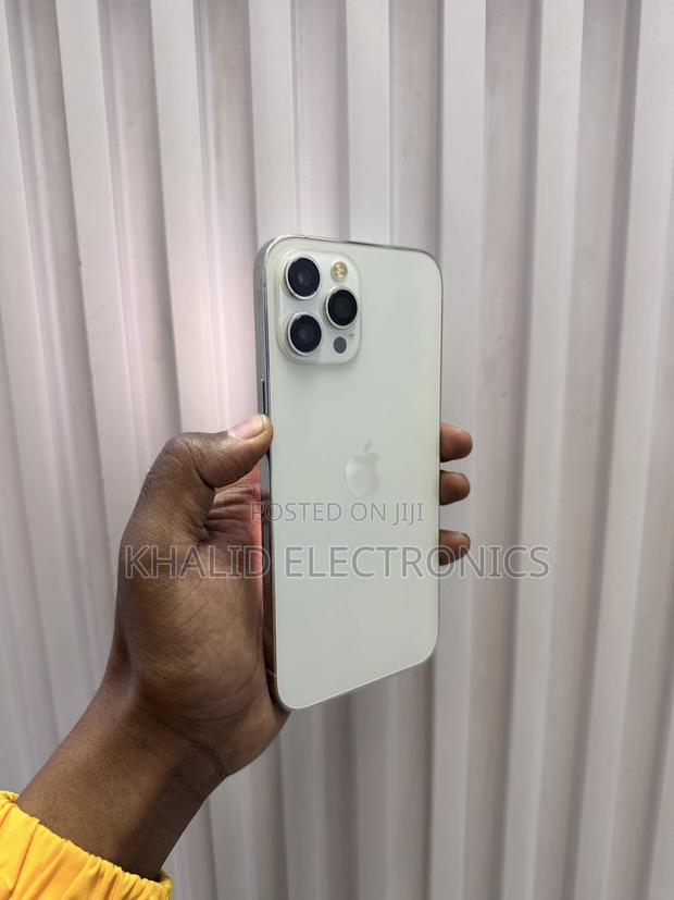Apple iPhone 12 Pro Max 256 GB Silver - thumbnail 5