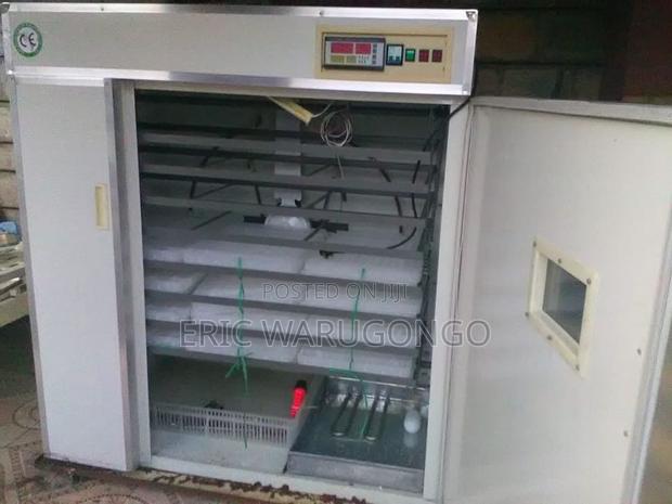 2112 Egg Incubator - main view