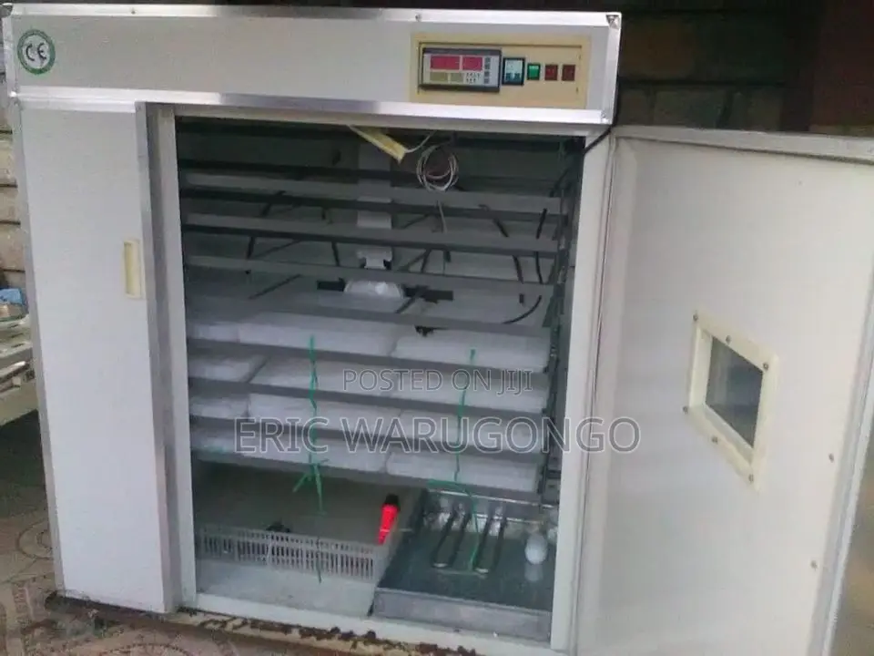 2112 Egg Incubator