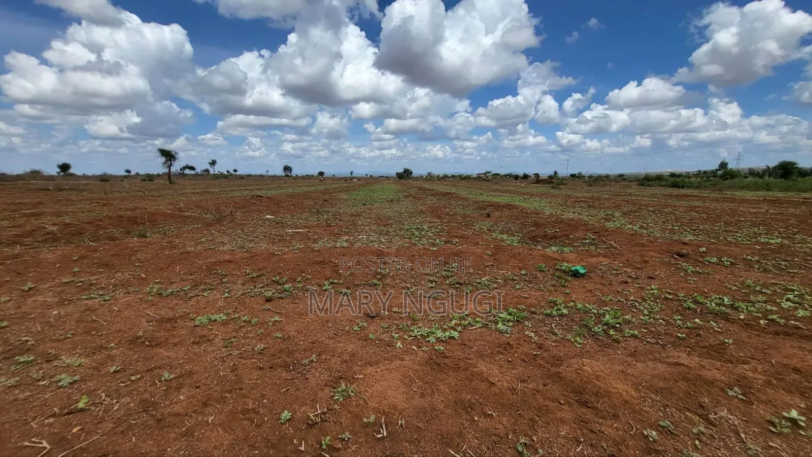 Land Selling