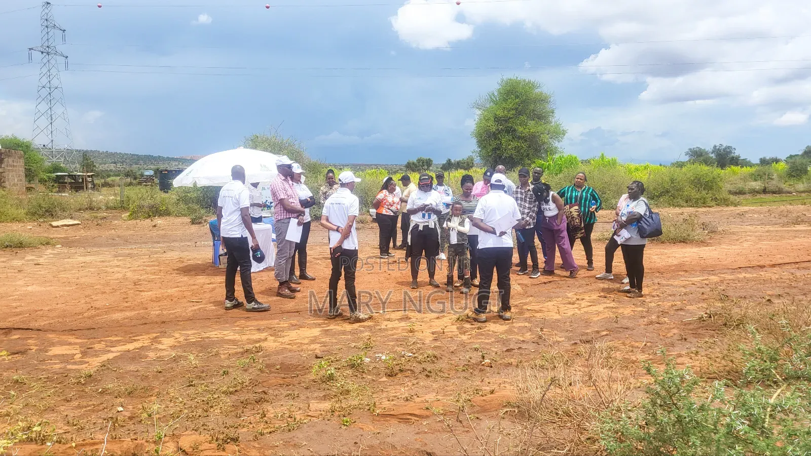 Land Selling