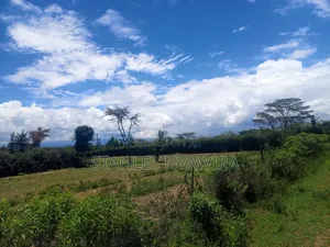 3.8 Acres Nanyuki Muriru