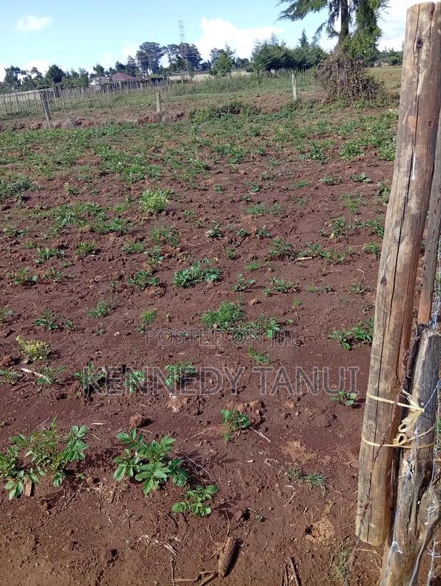 75 by 100 Plot Ready Title Deed - main view