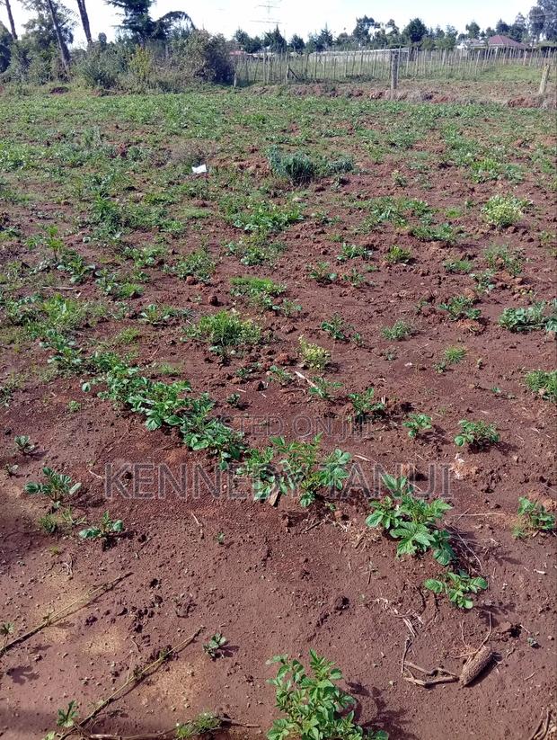 75 by 100 Plot Ready Title Deed - thumbnail 2