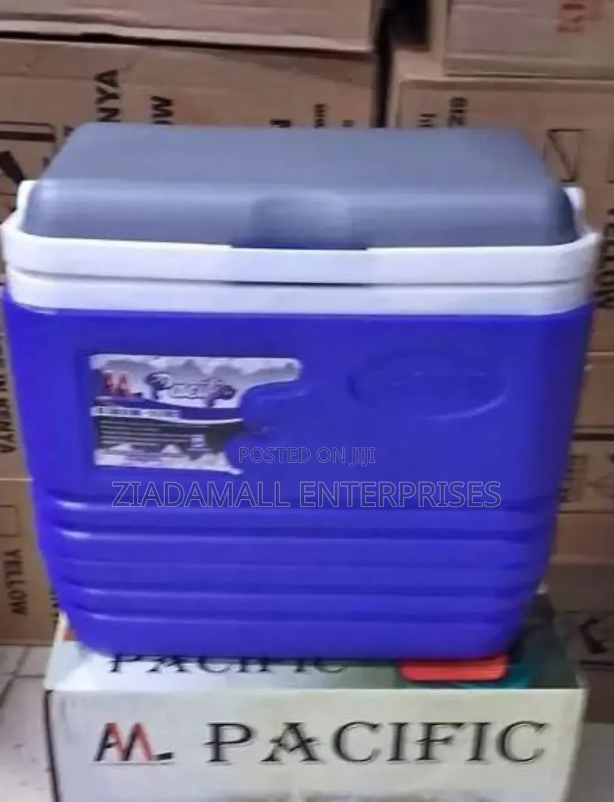 Cooler Box 4.5 Litres Pacific 4.5l Mini Cooler Box for Travel Picnic