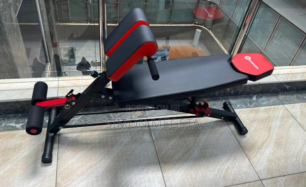 Adjustable Decline Sit-Up Bench With Leg Support - main view