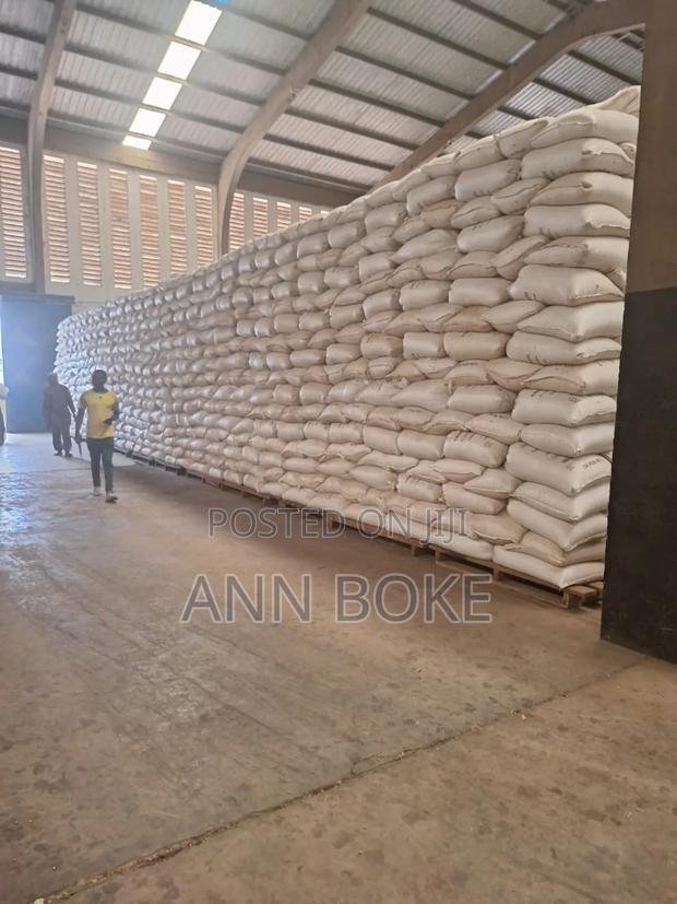 Dried Maize for Making Ugali Flour 90kgs Available - thumbnail 2
