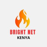 Brightnet Solutions logo
