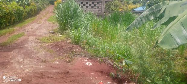 50/100 Muchatha Kiambu Plot for Sale - thumbnail 3