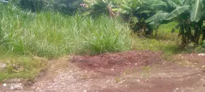 50/100 Muchatha Kiambu Plot for Sale