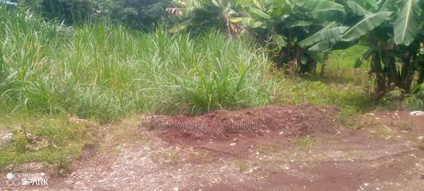 50/100 Muchatha Kiambu Plot for Sale - thumbnail 4