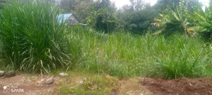 50/100 Muchatha Kiambu Plot for Sale