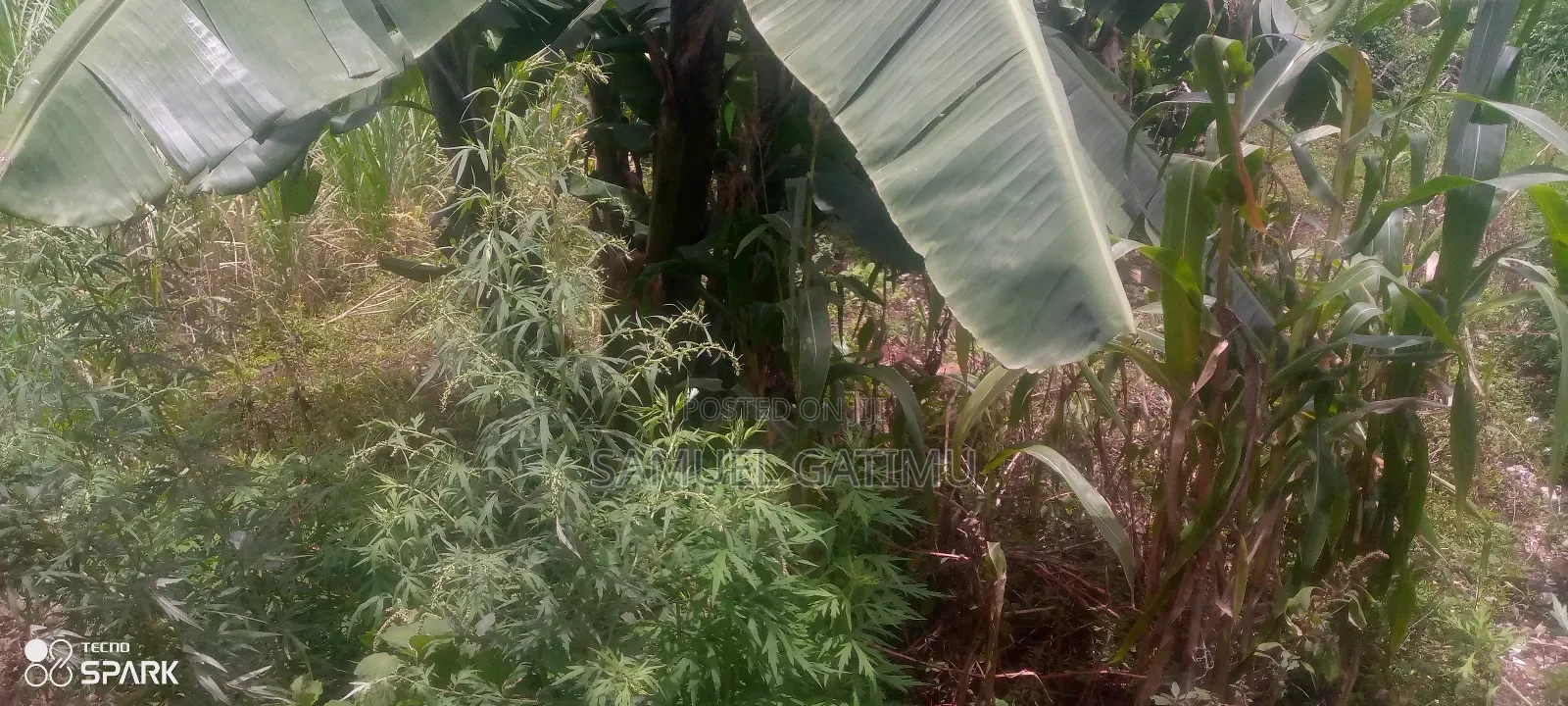 50/100 Muchatha Kiambu Plot for Sale