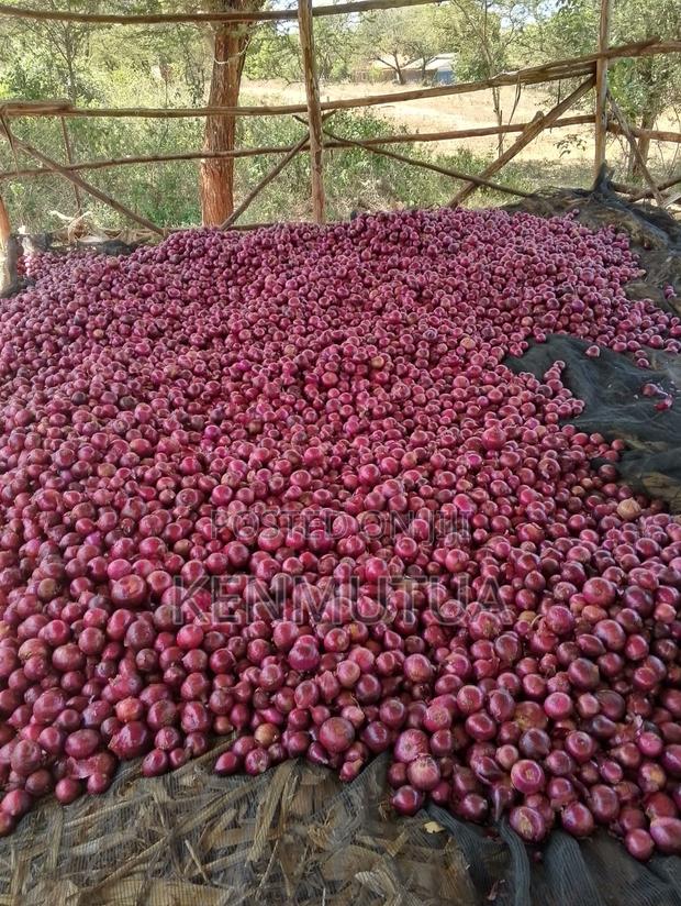 Red Onions