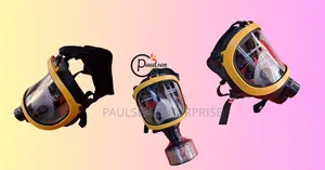 Full Face Chemical Mask/Full Face Respiratory Mask