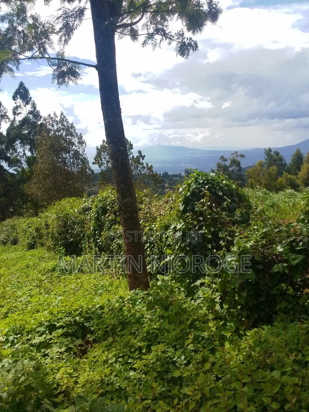1.5 Acres Nyambari ( Rift Valley View)