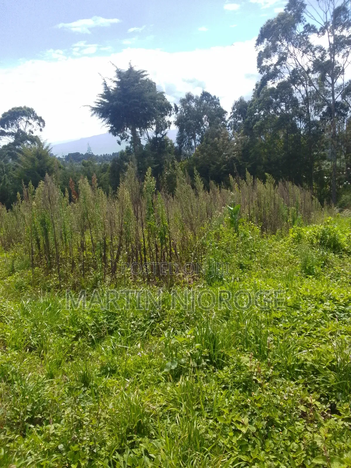 1.5 Acres Nyambari ( Rift Valley View)