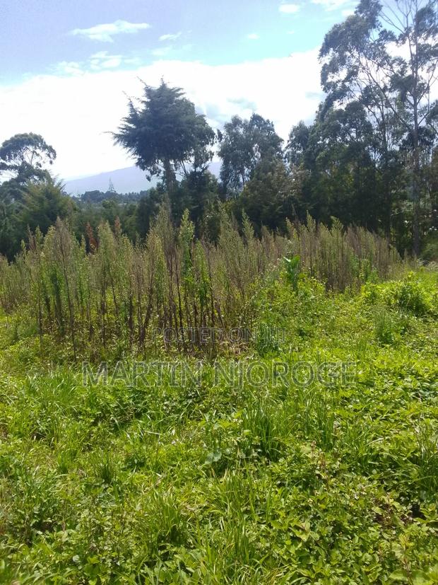 1.5 Acres Nyambari ( Rift Valley View) - thumbnail 4