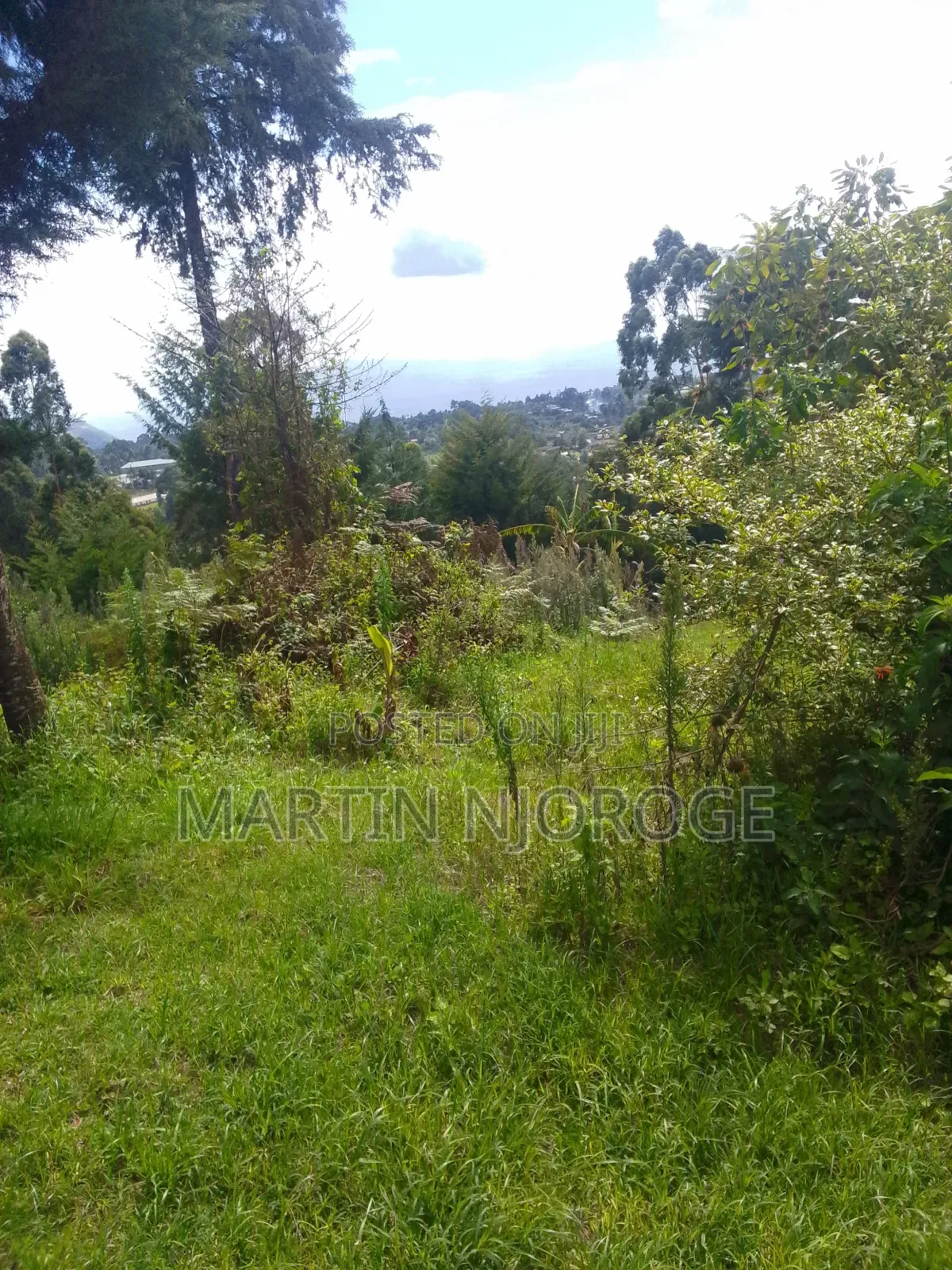 1.5 Acres Nyambari ( Rift Valley View)