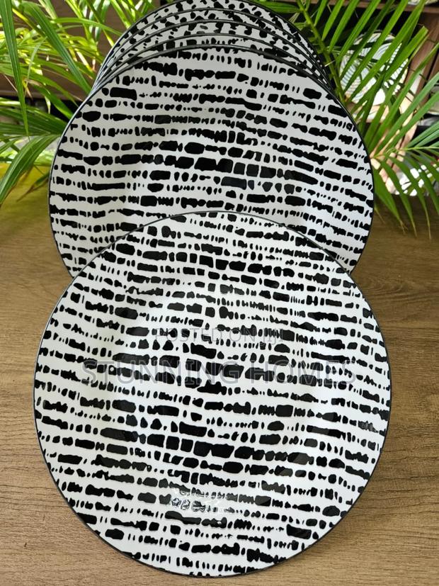 10.5" Dinner Plates - thumbnail 4