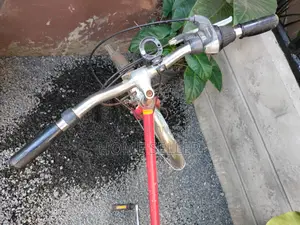 Used/Preowned Red Adult Bicycle