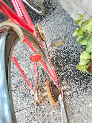 Used/Preowned Red Adult Bicycle